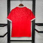 Maillot Danemark Domicile 2024-2025