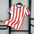Maillot Domicile Paraguay Coupe du Monde 2026