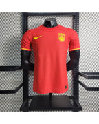 Maillot Domicile Chine 2023-2024