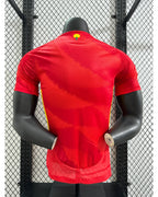 Maillot Domicile Espagne 2024-2025