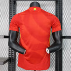 Maillot Espagne Domicile  2024/2025 Euro
